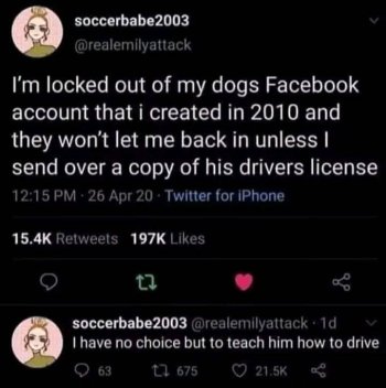 1773850918632.jpeg