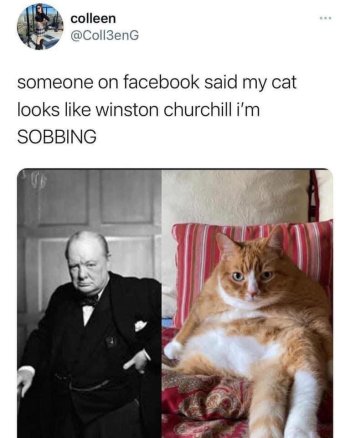 1773859712102.jpeg