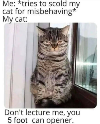 1773961695033.png