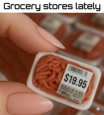 1774035237435.png