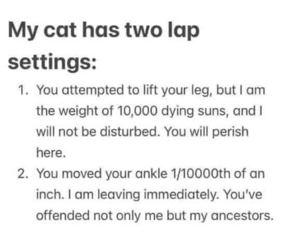 1774144913751.jpeg