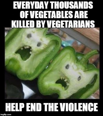1774251661348.jpeg