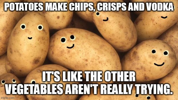 1774251716475.jpeg