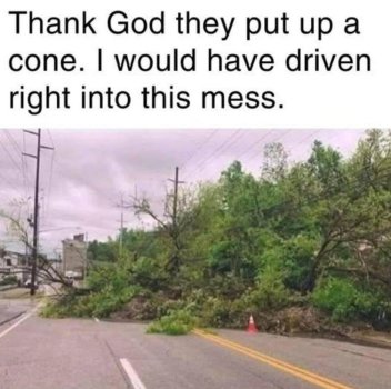 1774307052789.jpeg