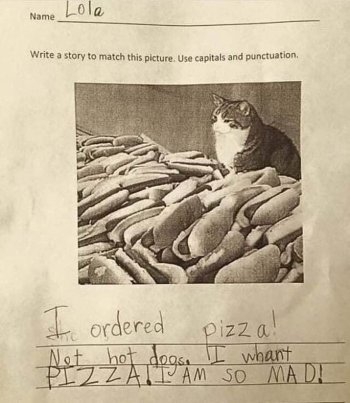 1774355065262.jpeg