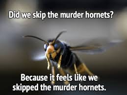 1774552669207.jpeg