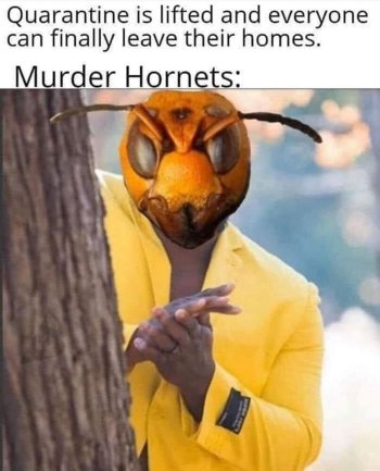 1774581875020.jpeg