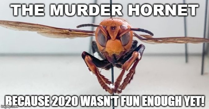1774582047586.jpeg