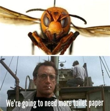 1774582072312.jpeg