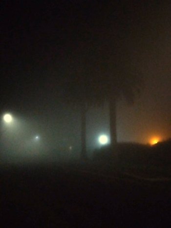 On the corner look at my st and palm trees.jpg