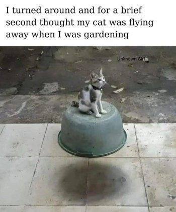 1774873406383.jpeg