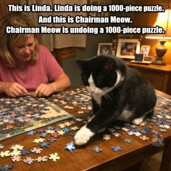 1775006747626.jpeg