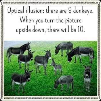 1775006866989.jpeg