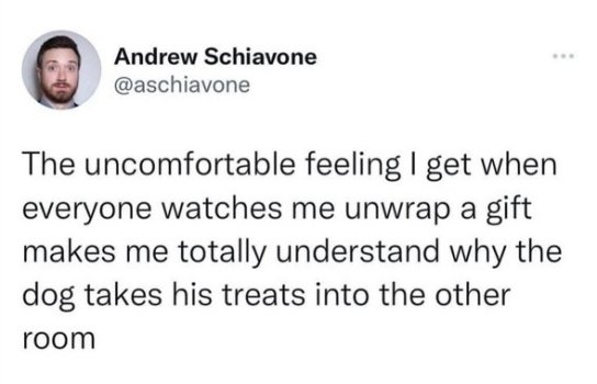 1775010040739.jpeg