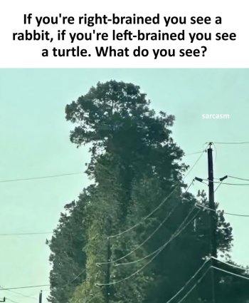 1775048691171.jpeg
