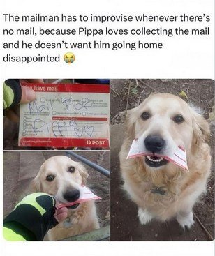 1775049015519.jpeg