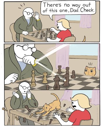 1775071513434.jpeg