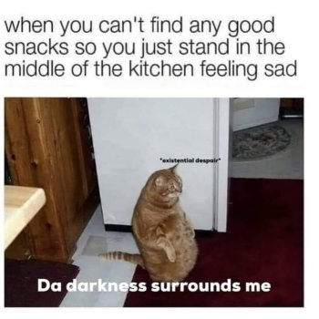 1775168328545.jpeg