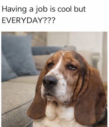 1775169748984.jpeg
