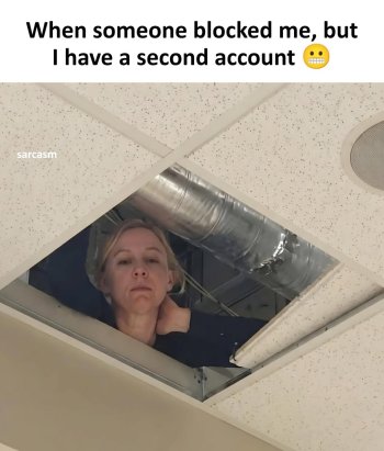 1775188482075.jpeg