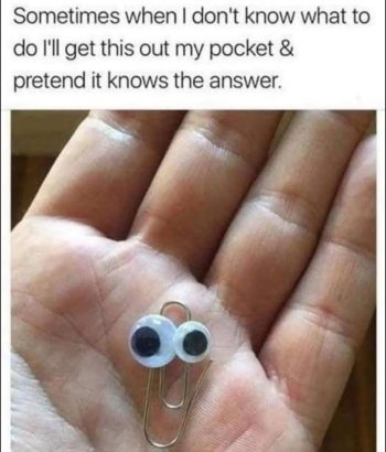 1775207755847.jpeg
