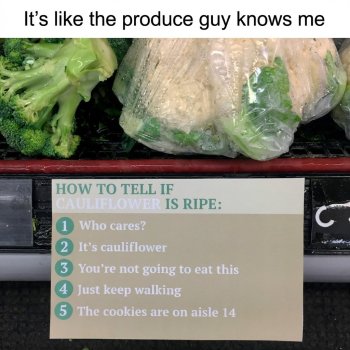 1775209772677.jpeg
