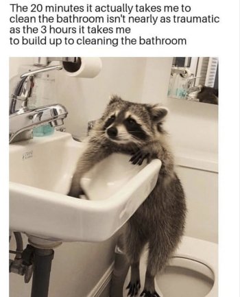 1775291229557.jpeg