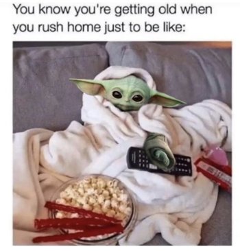 1775291532477.jpeg