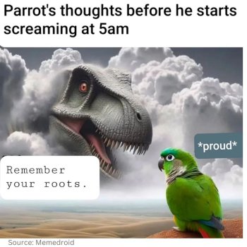 1775599519944.jpeg