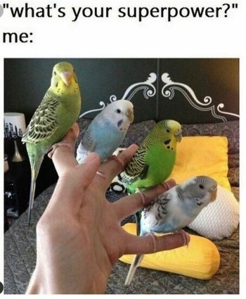 1775599640975.jpeg