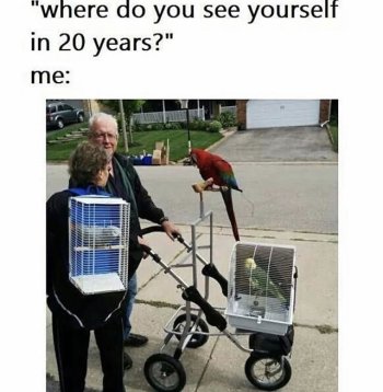 1775609357668.jpeg