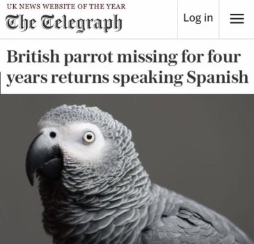 1775646864222.jpeg