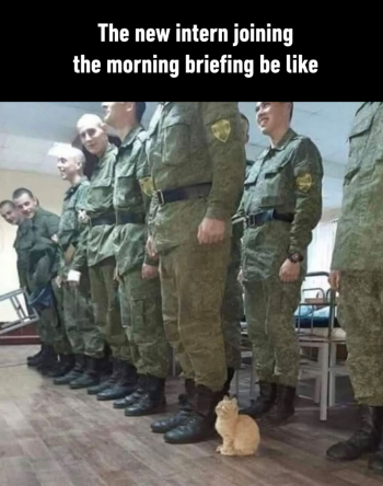1775820487644.png