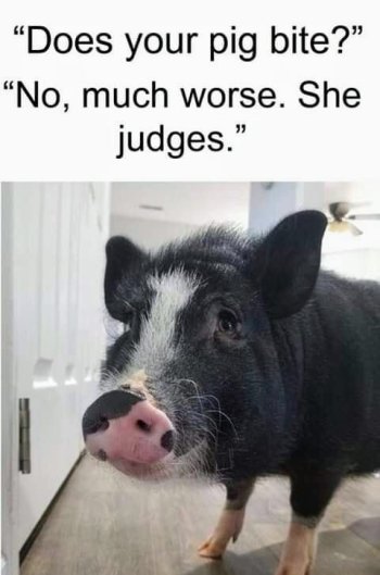 1776149563026.jpeg