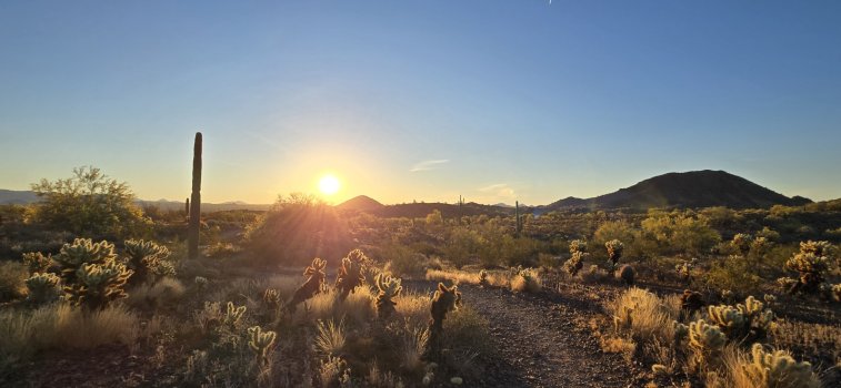 20260404_063300.jpg