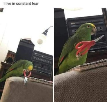 1776564570914.jpeg