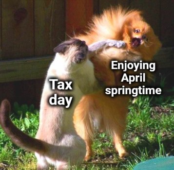 a4.jpg