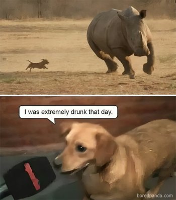 1777079872897.jpeg