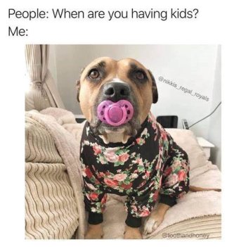 1777351885217.jpeg