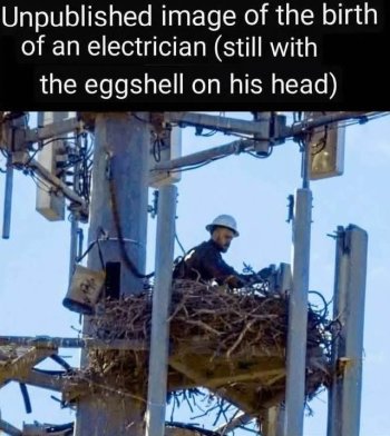 1777510741144.jpeg