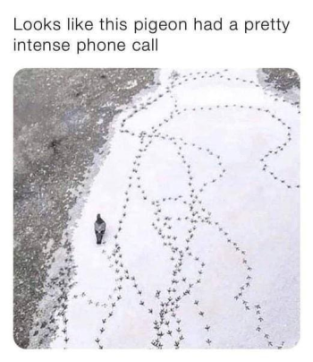 1778036268114.png