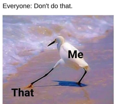 1778036295106.png