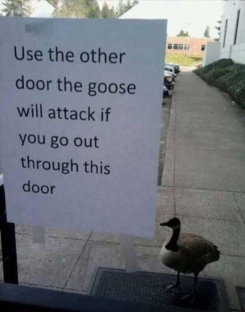 1778036364910.png