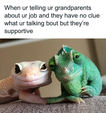 1778036575096.png