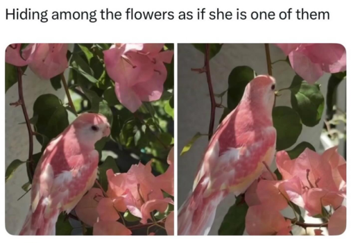 1778290704778.png