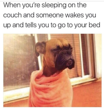 1778290930667.png