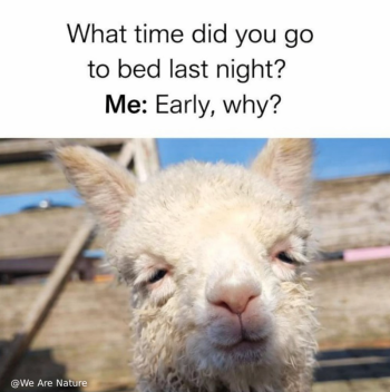 1778398227056.png