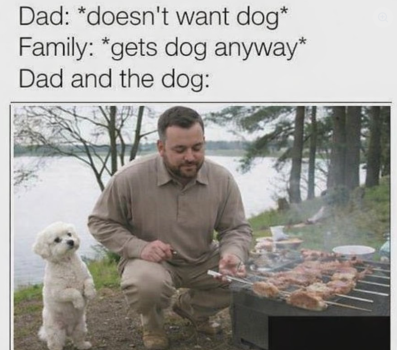 1778398309556.png