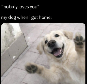 1778398367797.png