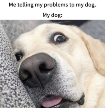 1778398396558.png